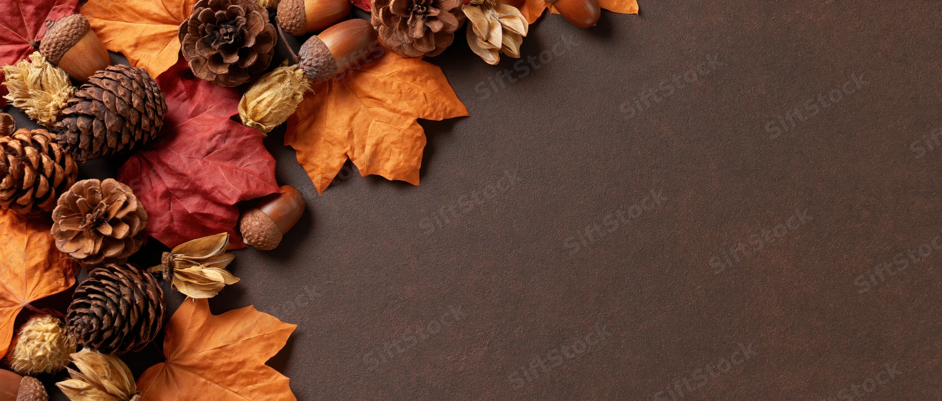 Autumn leaves and pinecones arranged in corner on textured brown surface with copyspace