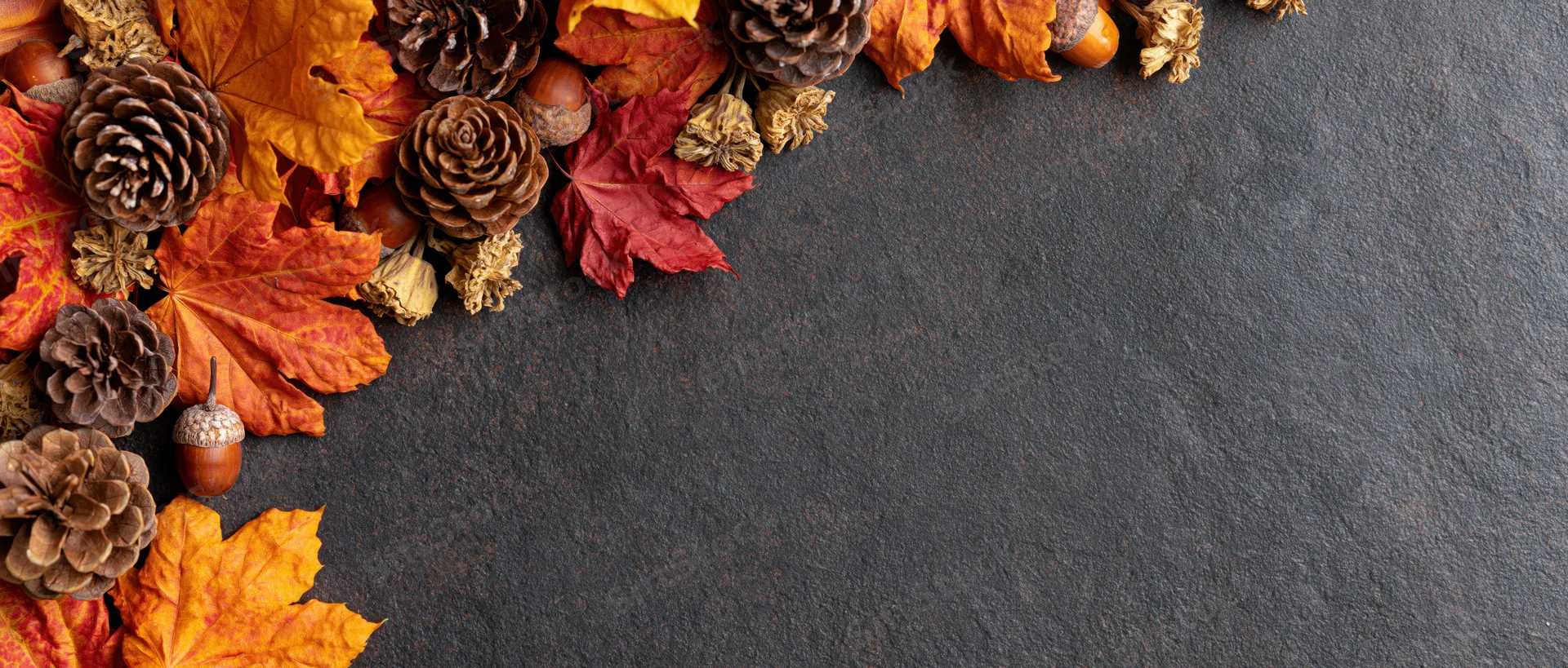 Autumn leaves and pinecones arranged in corner on dark stone surface