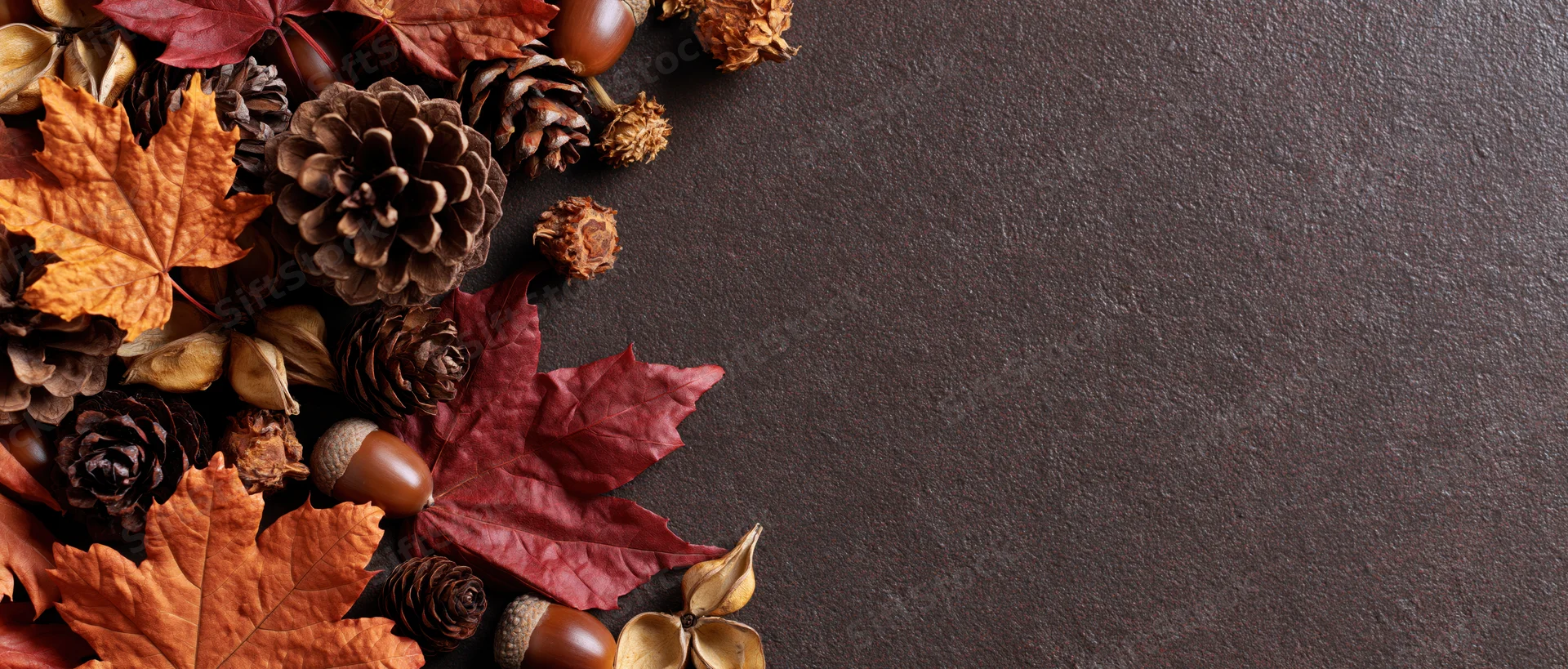 Autumn leaves and pinecones arranged in a flat lay on dark surface with copyspace