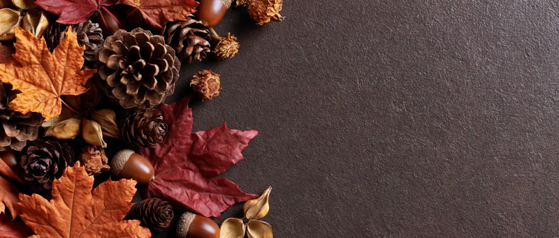 Autumn leaves and pinecones arranged in a flat lay on dark surface with copyspace