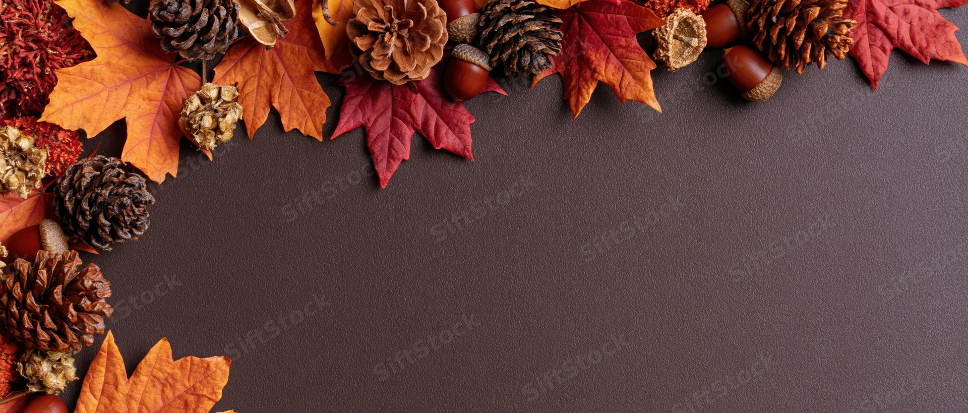 Autumn leaves and pinecones arranged along the top edge of a dark textured surface, leaving copyspace below