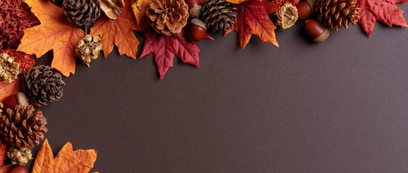 Autumn leaves and pinecones arranged along the top edge of a dark textured surface, leaving copyspace below