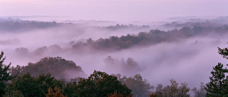 Autumn forest landscape viewed from above dense tree canopies in misty morning light