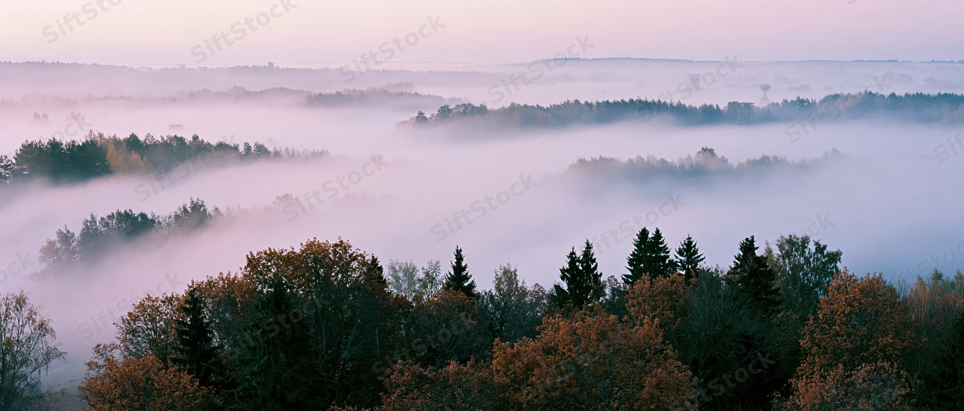Aerial view of autumn forest landscape with misty valleys and tree canopies at dawn