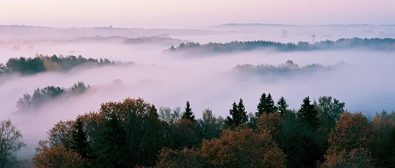 Aerial view of autumn forest landscape with misty valleys and tree canopies at dawn