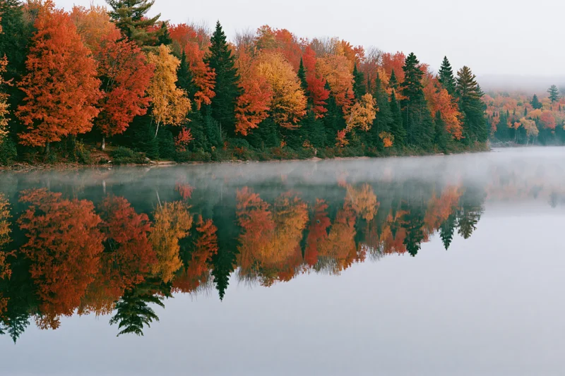 Autumn forest with red orange and gold maples reflected in calm lake water