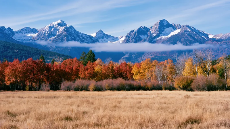 Autumn forest with red orange and yellow trees lining a grassy meadow before snow-capped mountains