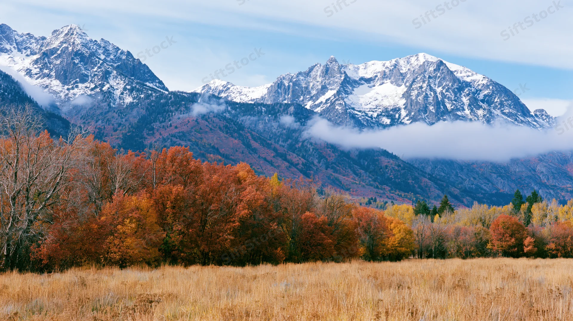 Snow-capped mountains rise behind a forest of autumn-colored trees lining a golden meadow