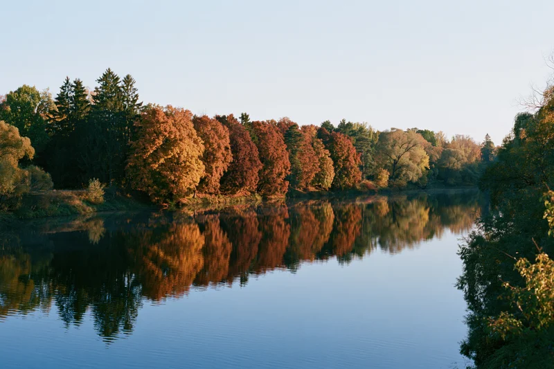 Autumn forest treeline reflected in calm river water