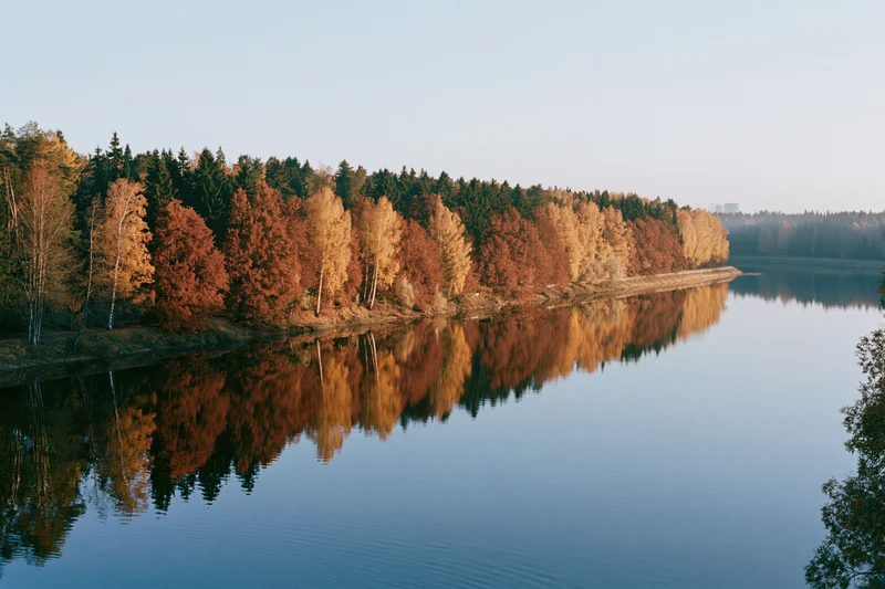 Autumn forest treeline reflected in calm river water