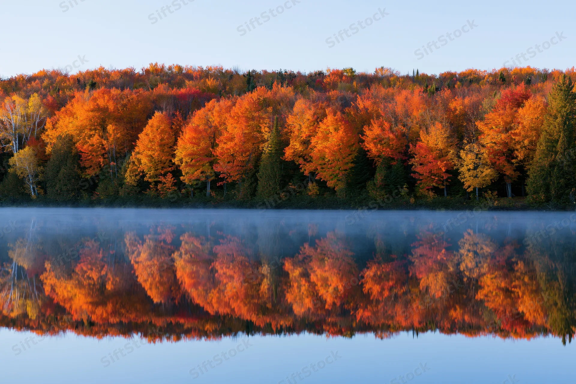 Autumn forest treeline with vibrant fall foliage reflected in calm misty lake water