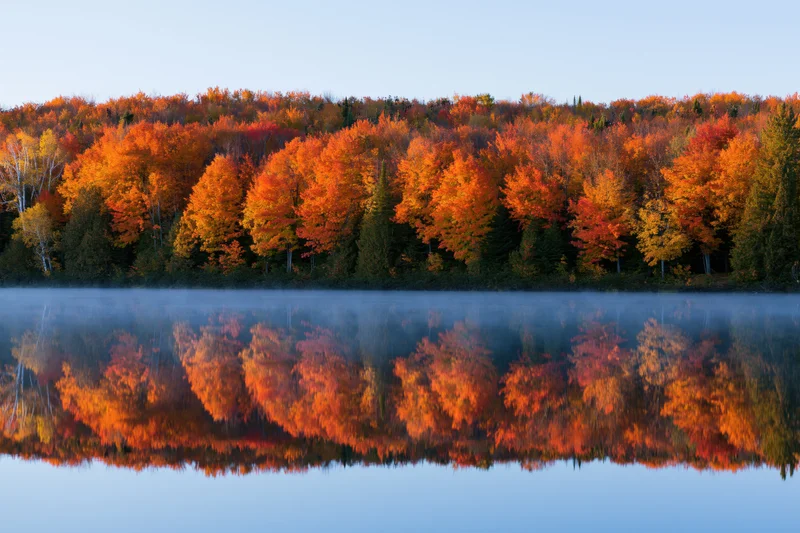 Autumn forest treeline with vibrant fall foliage reflected in calm misty lake water