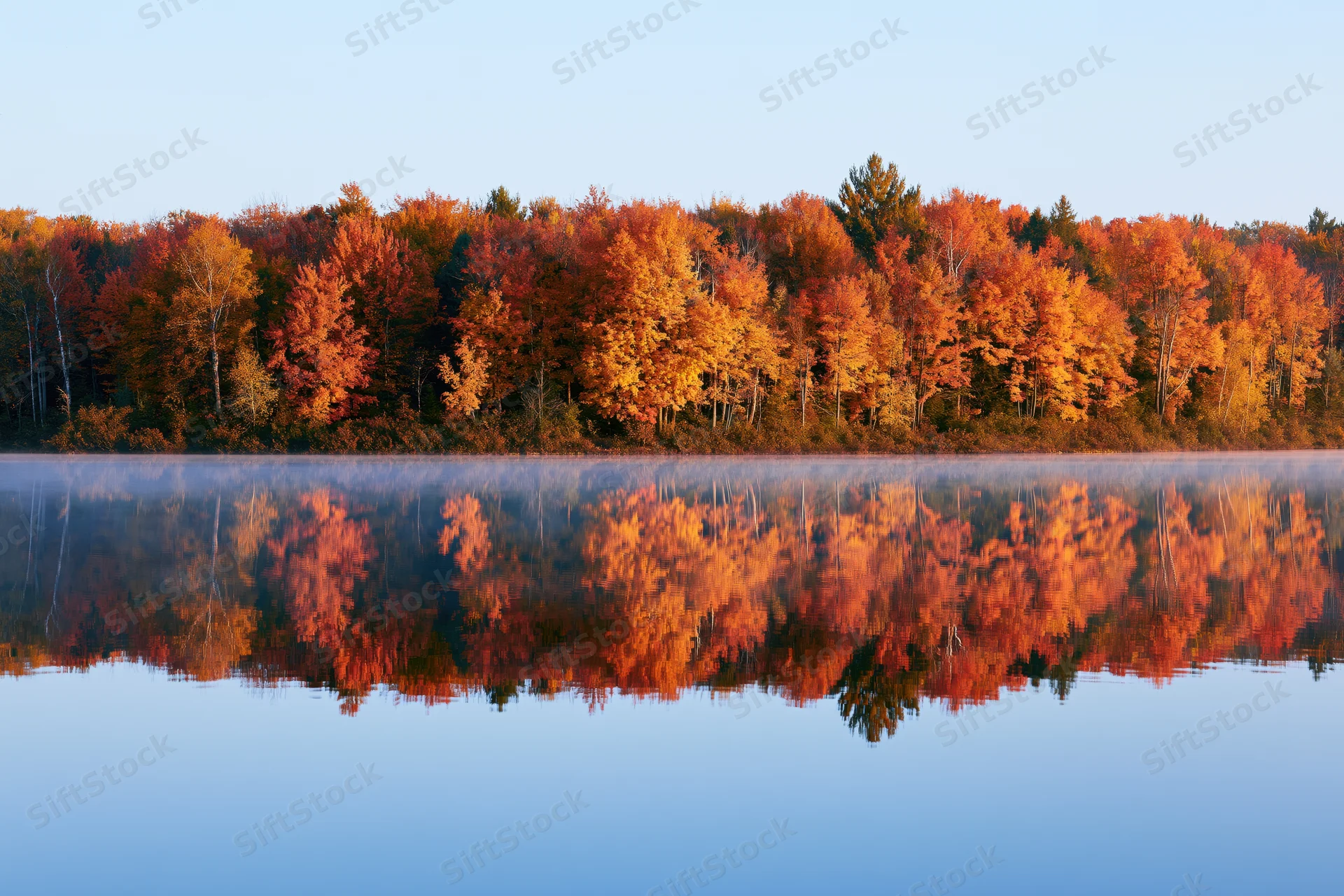 Autumn forest treeline with peak fall foliage reflected in calm lake water at sunrise