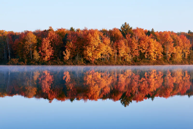 Autumn forest treeline with peak fall foliage reflected in calm lake water at sunrise
