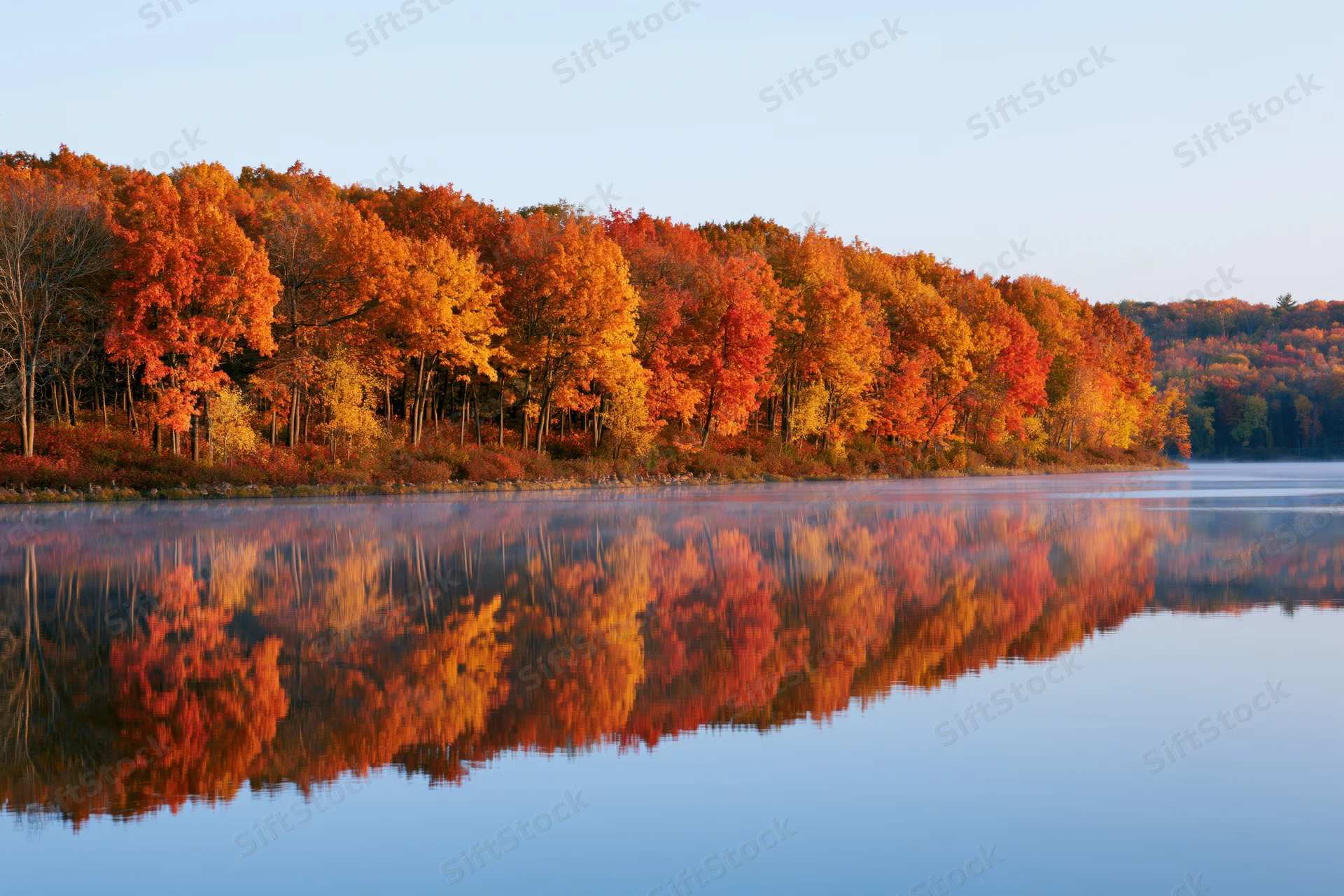 Autumn forest treeline with peak fall foliage reflected in calm lake water