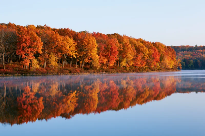 Autumn forest treeline with peak fall foliage reflected in calm lake water