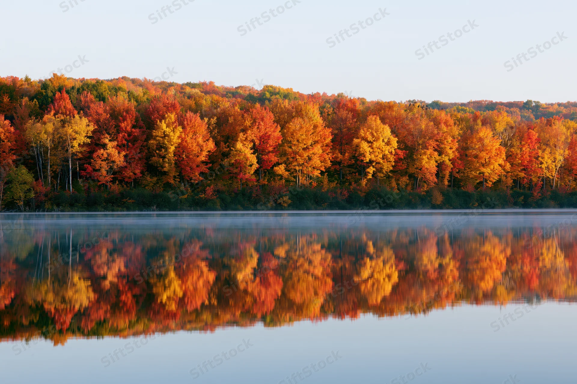 Dense autumn forest treeline with vibrant fall foliage reflected in calm lake water