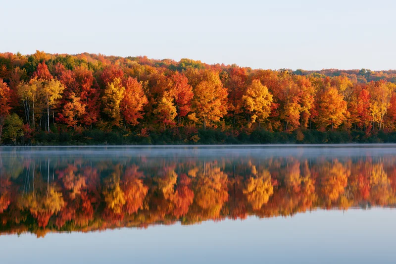 Dense autumn forest treeline with vibrant fall foliage reflected in calm lake water