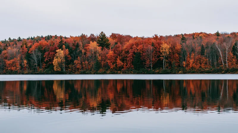 Autumn forest treeline reflected in a calm lake wide landscape