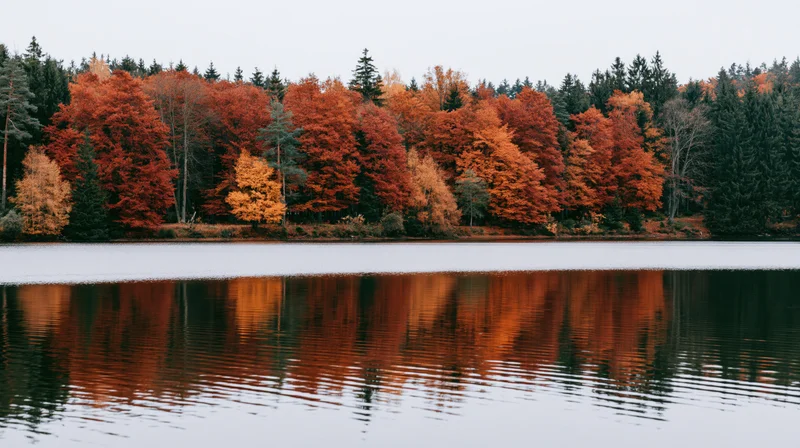 Autumn forest treeline reflected in calm lake water