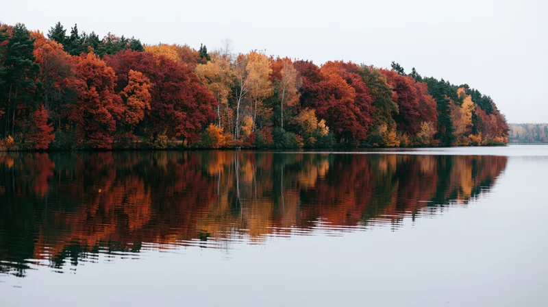 Autumn forest treeline reflected in calm lake water