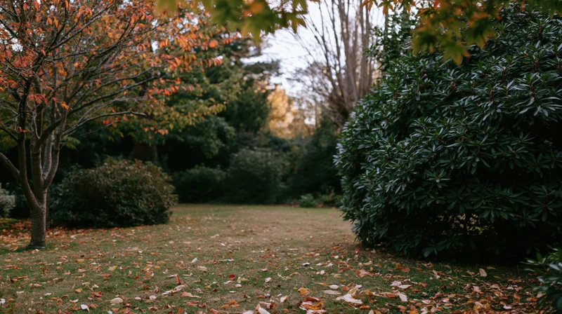 Autumn garden corner with fallen leaves scattered across short grass and surrounded by trees and shrubs