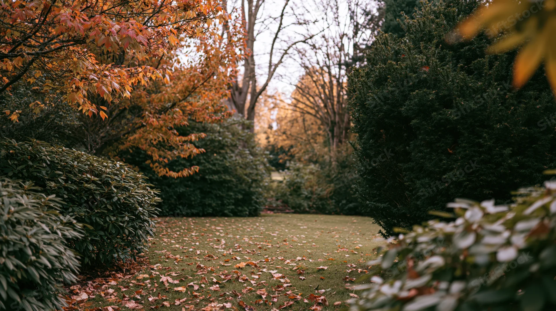 Autumn garden corner with fallen leaves scattered across short grass surrounded by trees and shrubs
