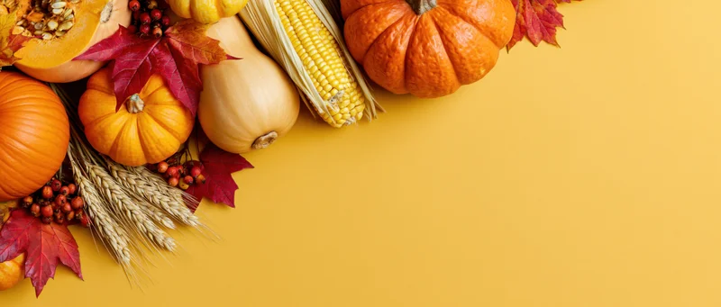 Autumn harvest arrangement of pumpkins squash corn cobs and red leaves on yellow background