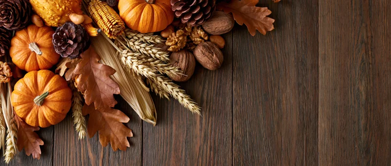 Autumn harvest arrangement of pumpkins, gourds, corn and wheat on wooden table with copyspace