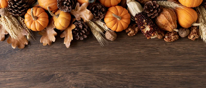 Autumn harvest arrangement of small pumpkins gourds and dried elements on wooden table with copyspace