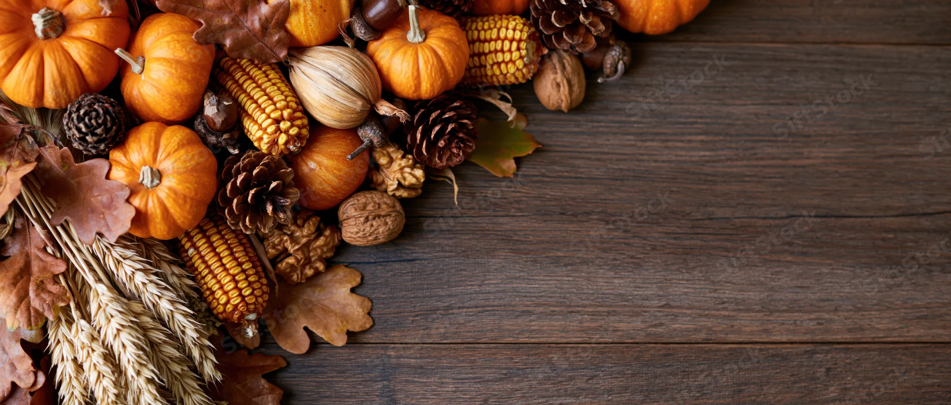 Autumn harvest arrangement of pumpkins, gourds, corn, pinecones and wheat on dark wooden table with copyspace