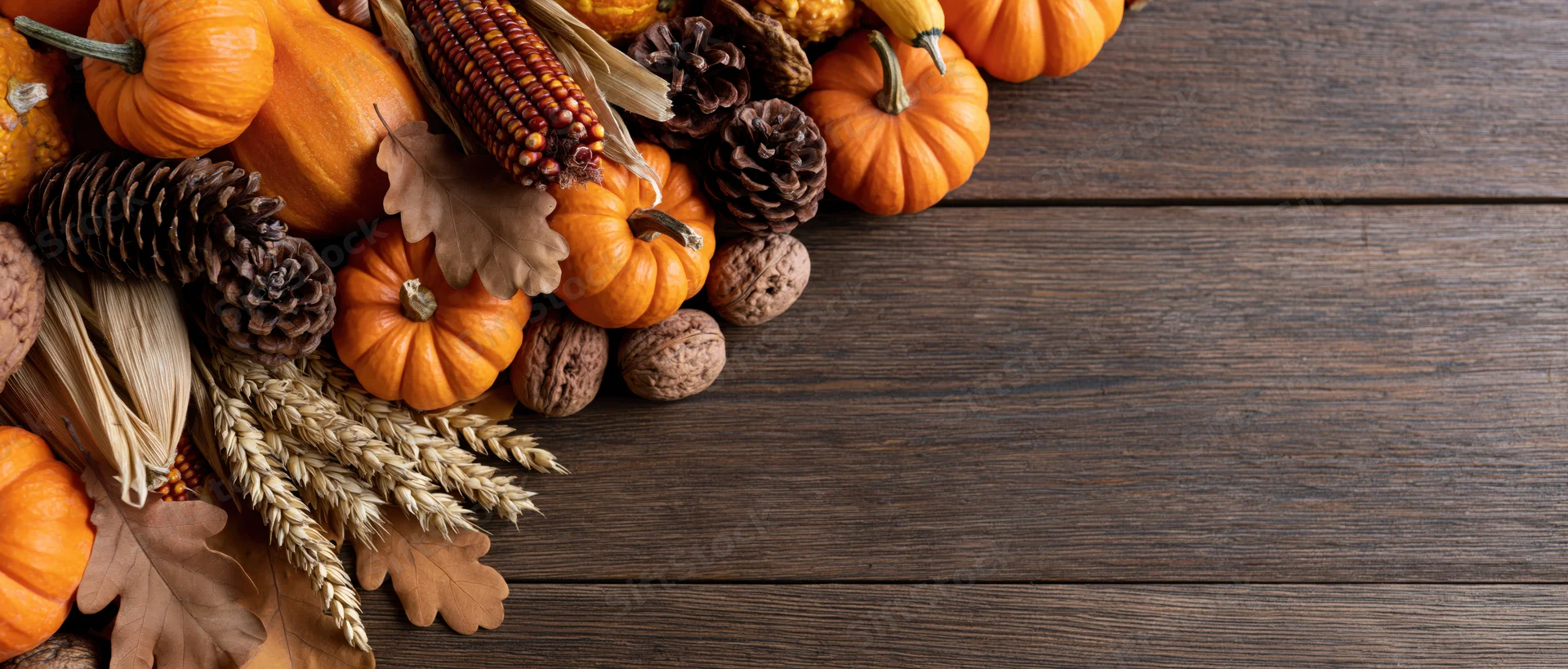 Autumn harvest arrangement of pumpkins, gourds, corn and pinecones on dark wooden table with copyspace