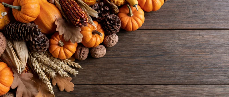 Autumn harvest arrangement of pumpkins, gourds, corn and pinecones on dark wooden table with copyspace