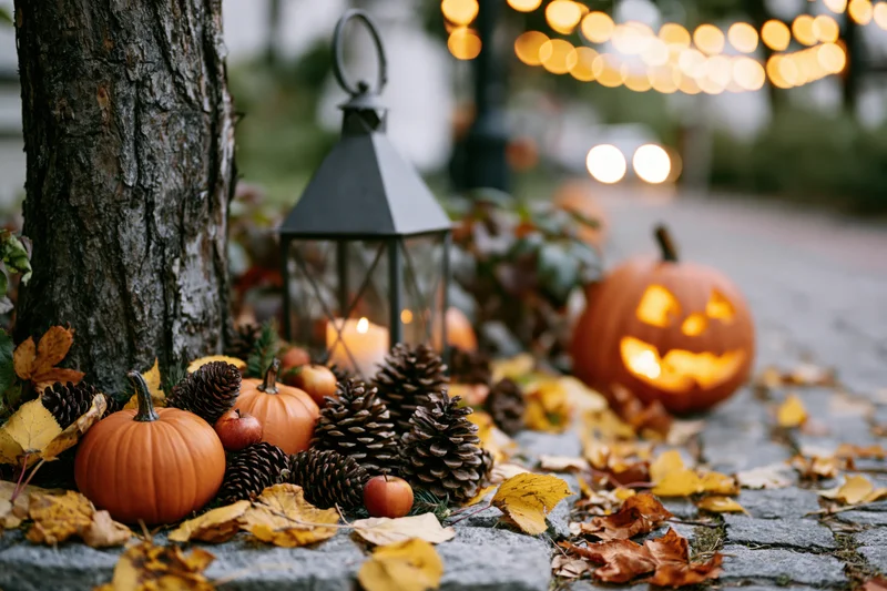 Carved pumpkin and lantern glowing beside tree on stone pathway with autumn leaves and pinecones