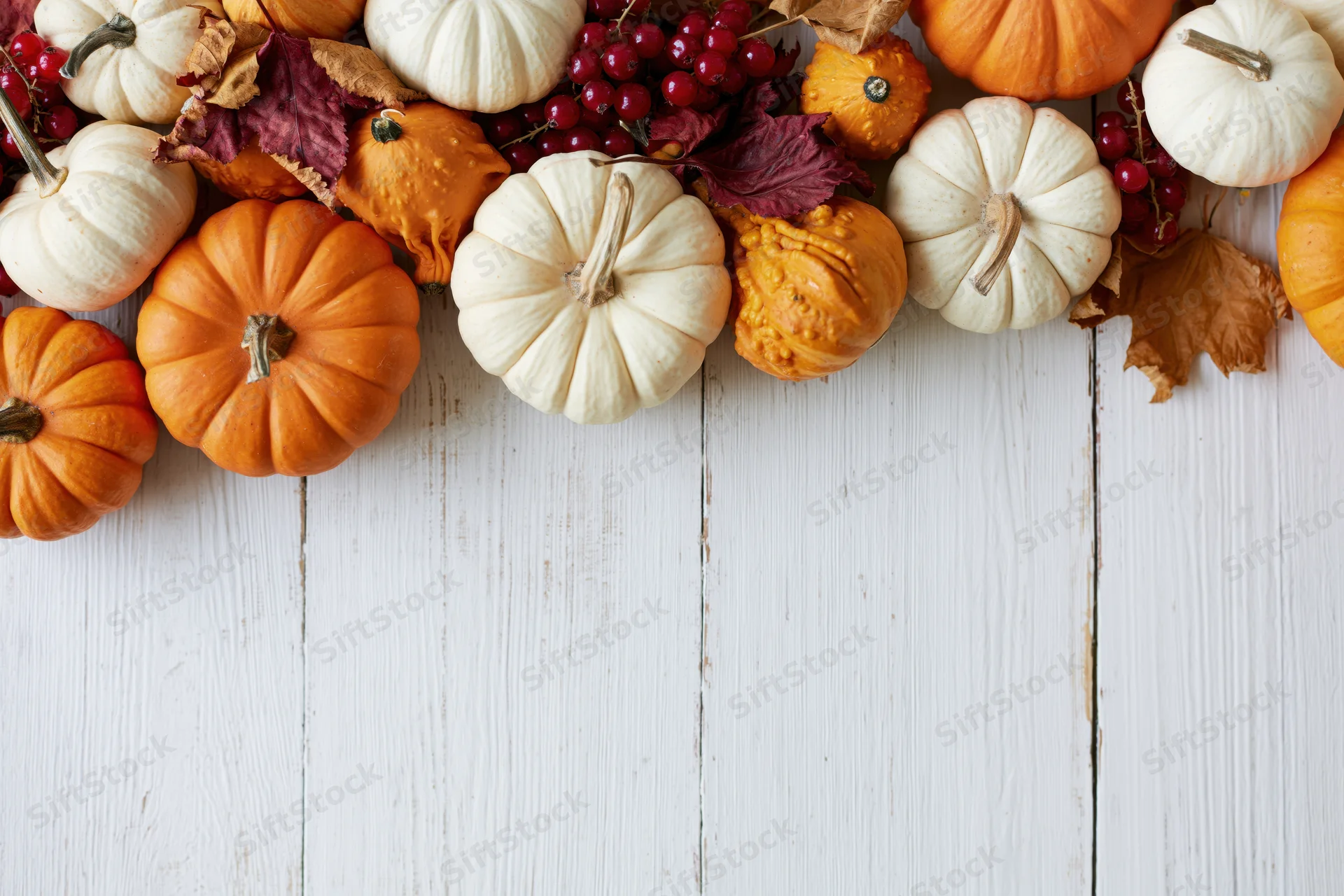 Small orange and white pumpkins arranged with red berries and autumn leaves on a white wooden table in a flat lay composition
