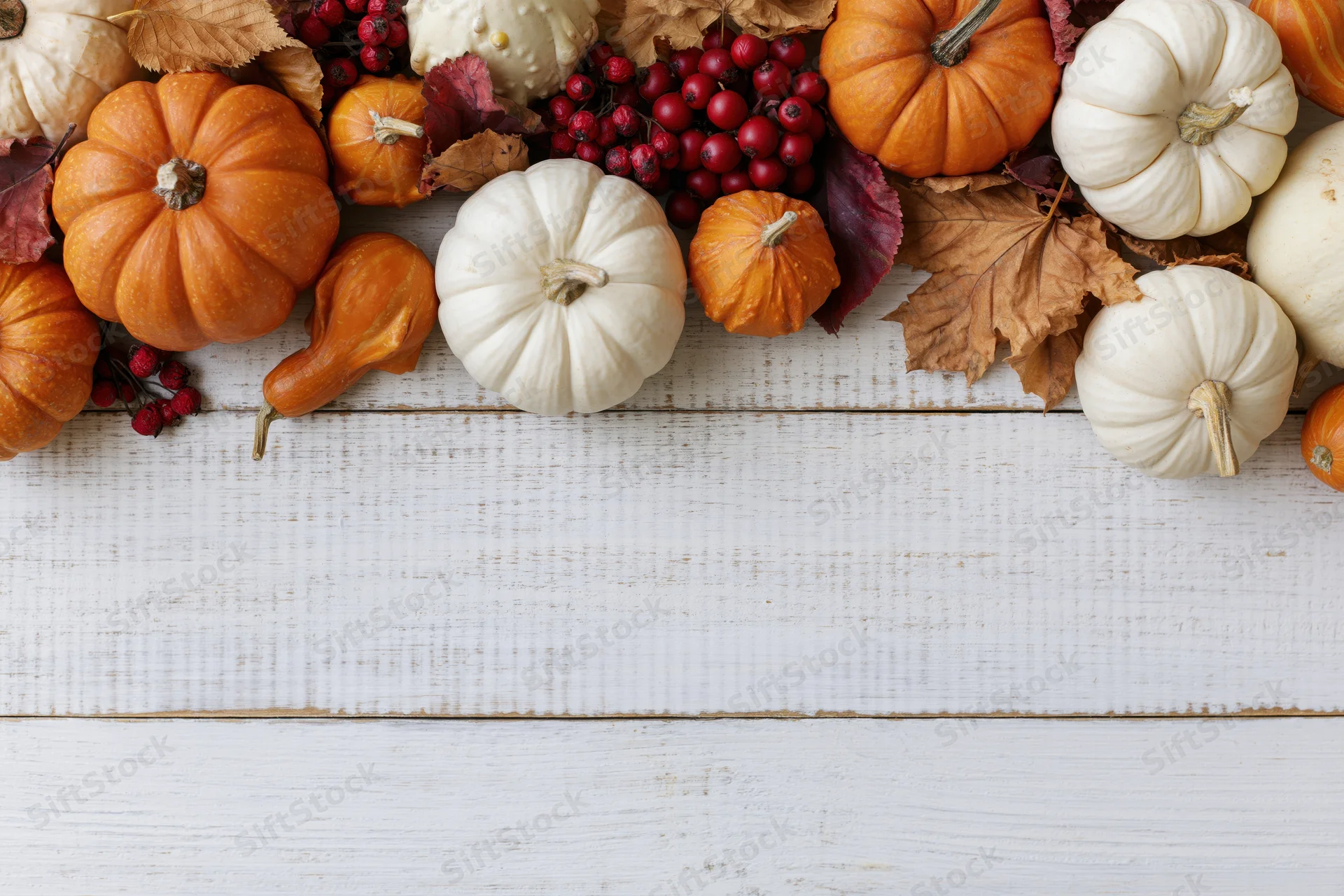 Autumn harvest flat lay with orange and white pumpkins arranged on a white wooden table with leaves and berries