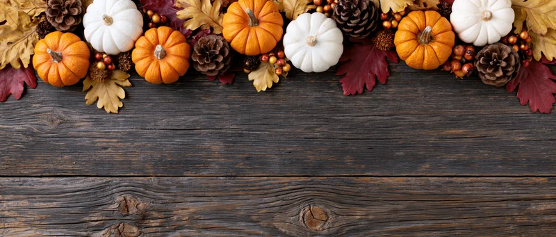 Autumn harvest flat lay with small orange and white pumpkins arranged along dark wooden table top