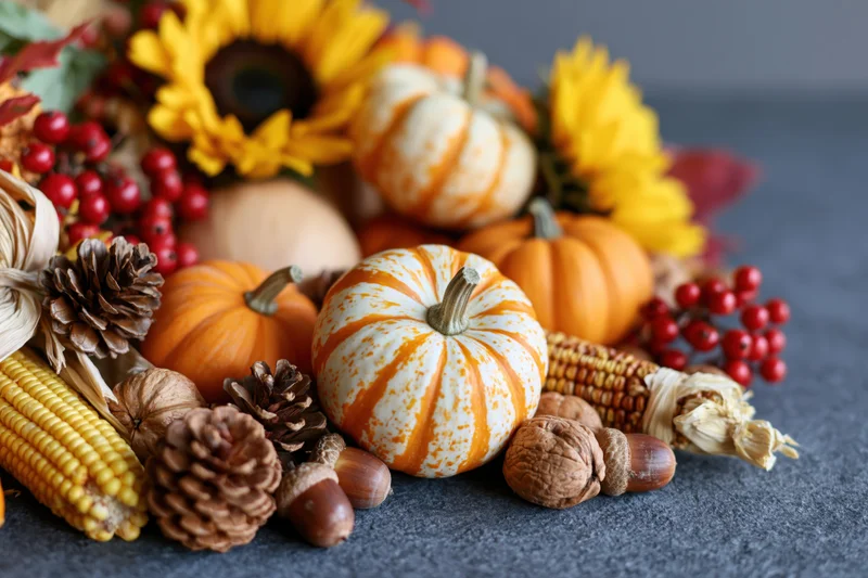Autumn harvest still life with pumpkins, corn, pinecones and sunflowers arranged on a dark grey stone surface