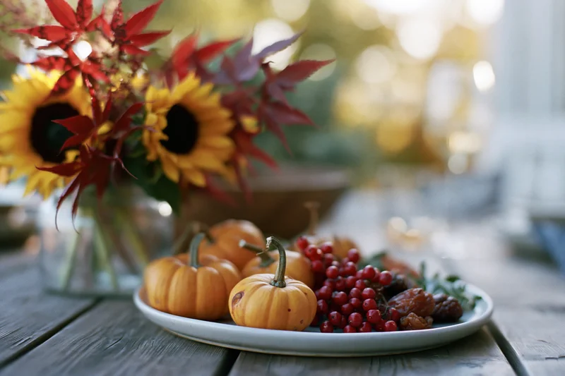 Autumn harvest display with small pumpkins and red berries on a wooden table