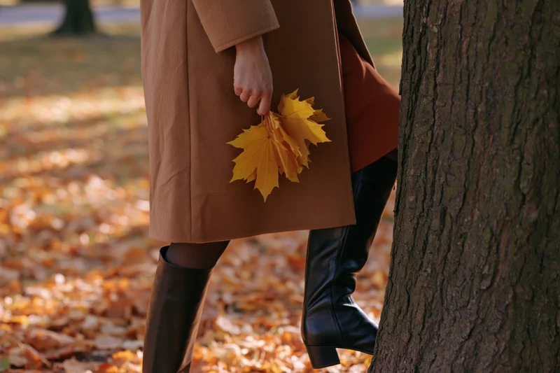 Woman walking in autumn park holding maple leaves beside tree trunk