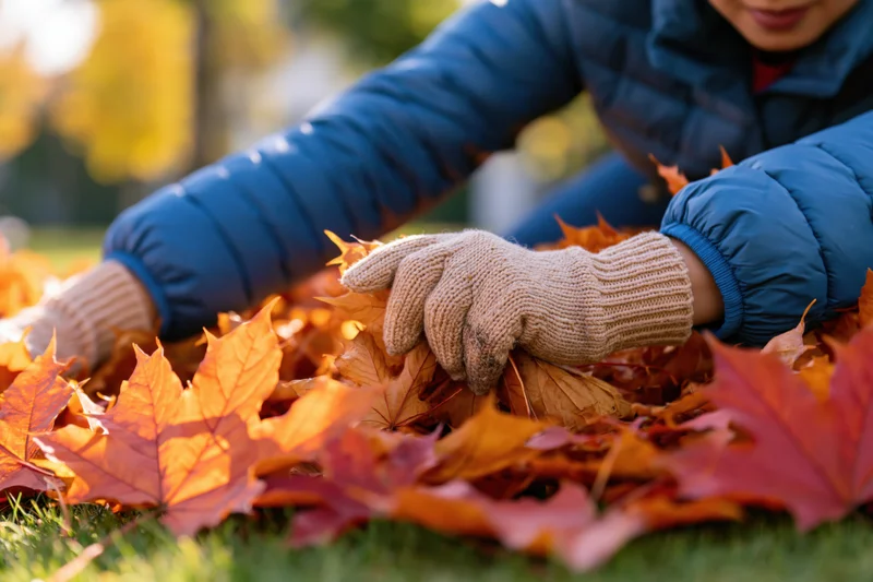 Woman in blue puffer jacket and knitted gloves gathering autumn maple leaves on grass at low ground level