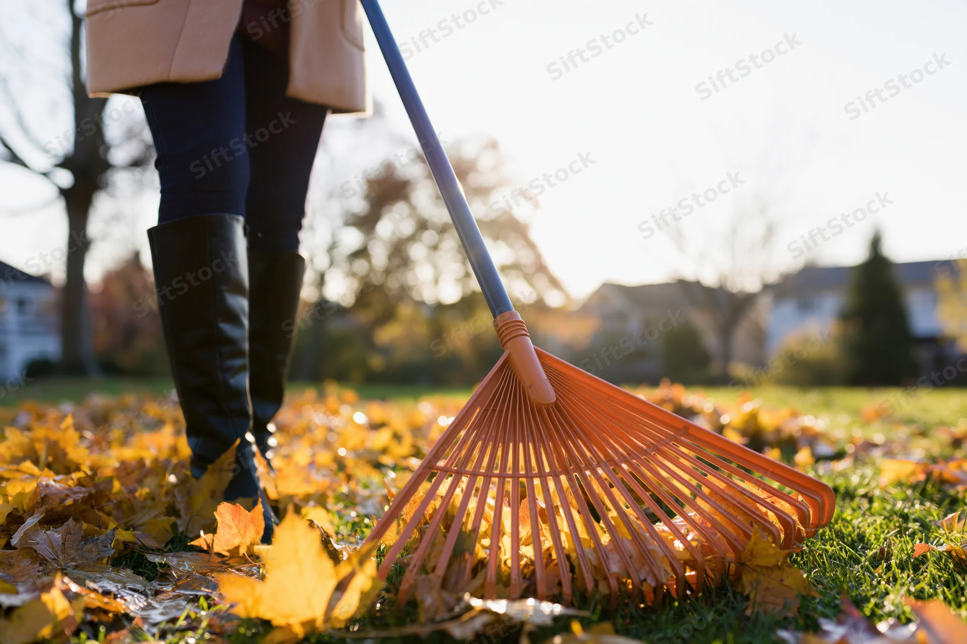 Woman raking fallen leaves in a suburban yard during autumn
