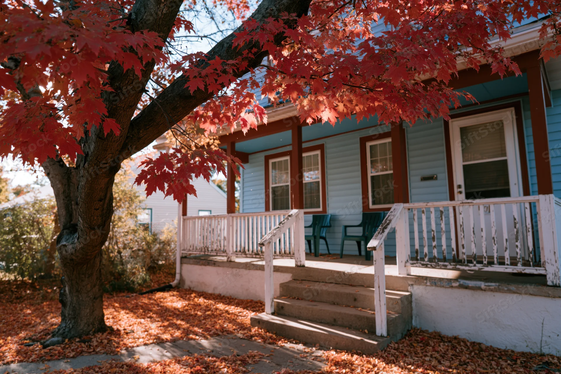 Red maple tree with autumn leaves in front yard of blue house with white porch and steps