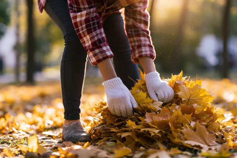 Woman bending at waist to gather fallen autumn leaves in a park
