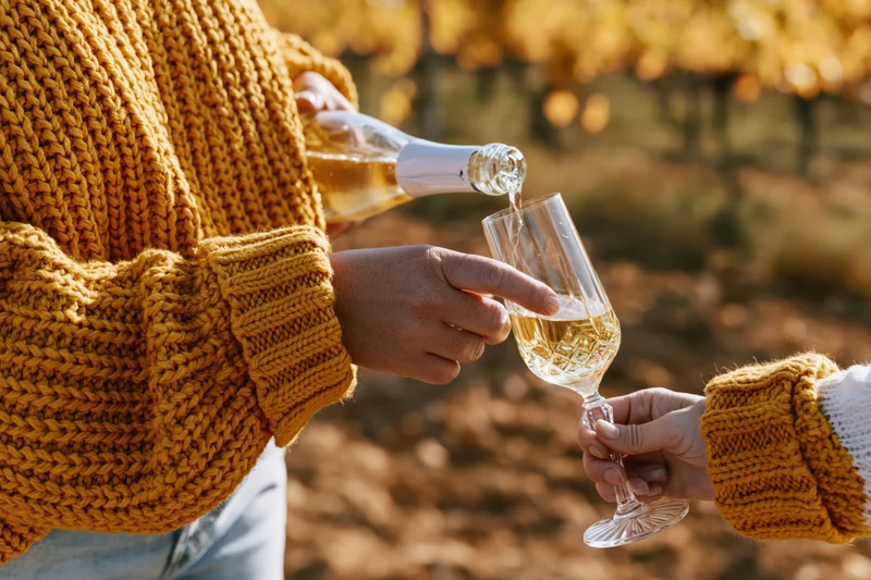 Person pouring wine into a glass held by another in a vineyard at golden hour