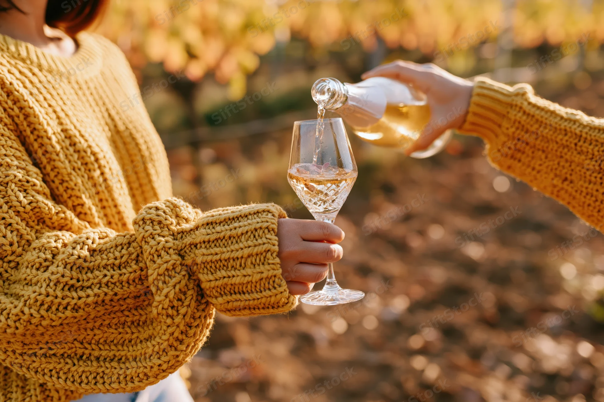 Woman pouring wine into a glass in a vineyard during autumn golden hour