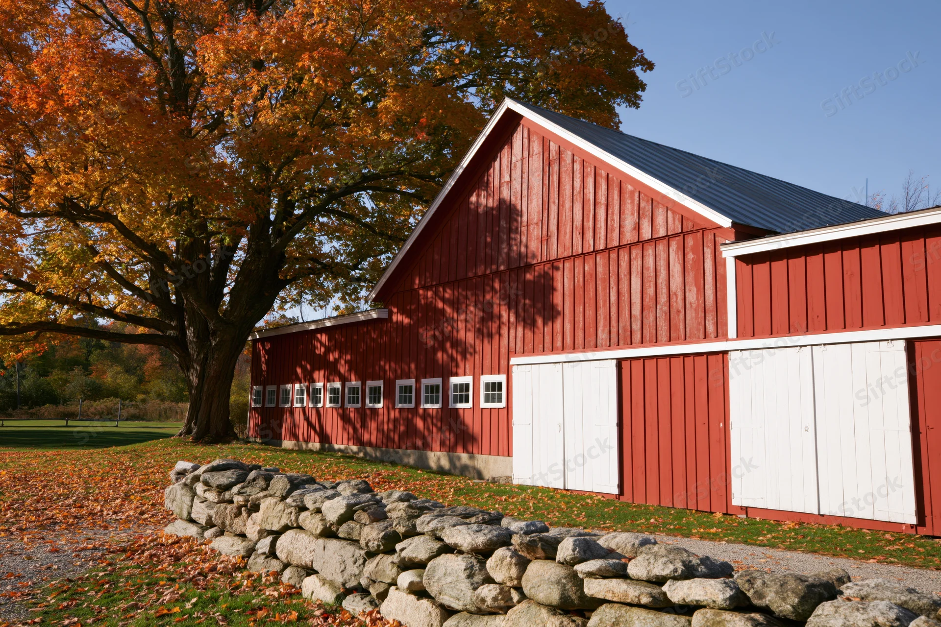 Red barn with white trim and stone wall beside autumn tree under clear blue sky