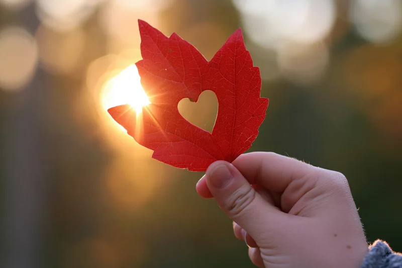 Hand holding red maple leaf with heart cutout against sunlit autumn backdrop