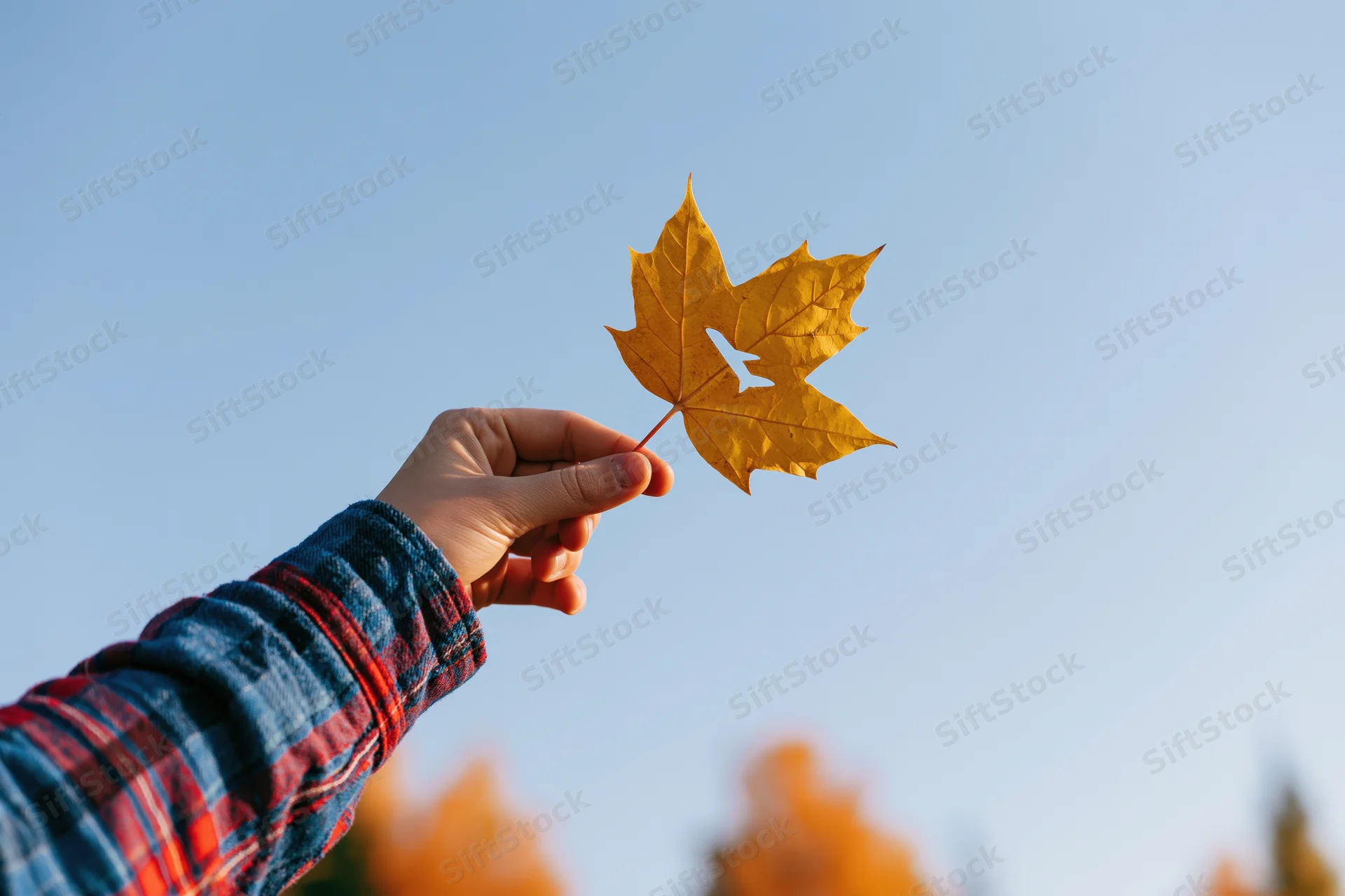 Hand holding a golden maple leaf against a clear blue sky in autumn