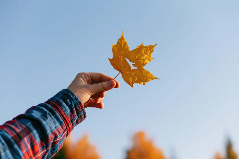 Hand holding a golden maple leaf against a clear blue sky in autumn